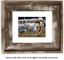 horse trail rides near me in Signal Mountain, Tennessee